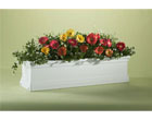 Flower Framer Windowboxes