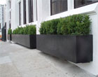 Wilshire Box 2 Planters