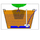 AutoFill Watering