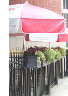 Flower Framer Cafe