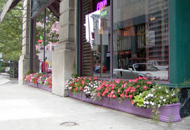 Window Framer Store